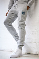 CREST BOYS JOGGER - GREY